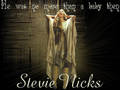 Stevie Nicks - stevie-nicks fan art