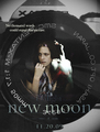 new moon♥ - twilight-series fan art