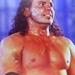 WWE icons - wwe icon