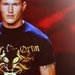 WWE icons - wwe icon