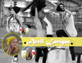 avril> yellow abbey dawn - avril-lavigne fan art