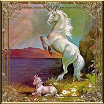 A-Free-Spirit-unicorns-5784130-350-350.j