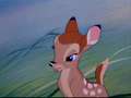 bambi - Bambi screencap