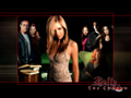 Buffy the Vampire Slayer - Future Cast - buffy-the-vampire-slayer photo