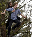 Edward & Bella - movie - twilight-series photo