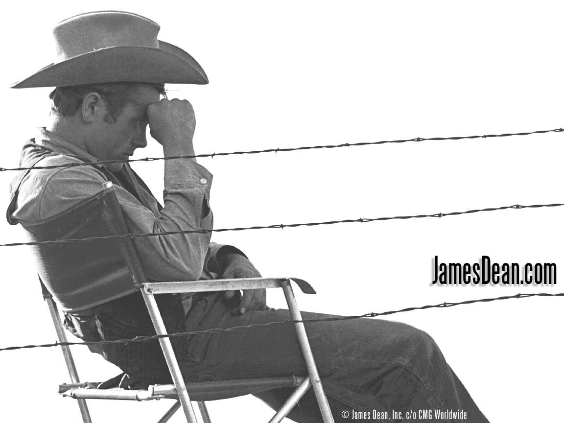 James Dean - Gallery Colection