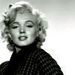 Marilyn Monroe - marilyn-monroe icon