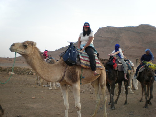 Me (PotterGal) on a camel!
