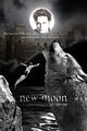 New Moon - new-moon-movie fan art
