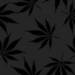 Pot Leaf Background - marijuana icon