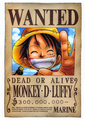 Straw Hats: Wanted - one-piece photo