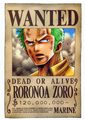 Straw Hats: Wanted - one-piece photo