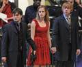 The Trio in DH (holding hands) - harry-potter photo