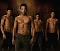 The Wolf Pack - twilight-series photo