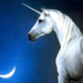 Unicorn - unicorns icon