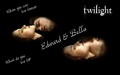 edward-and-bella - Edward&Bella <333 wallpaper