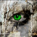 Green eyes - people-with-green-eyes photo