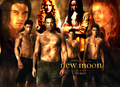 New Moon Poster♥ - new-moon-movie fan art