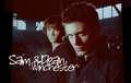 Sam and Dean - the-winchesters fan art