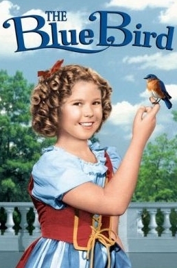  Shirley Temple in The Blue Bird