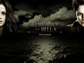 new-moon-movie - edward&bella wallpaper