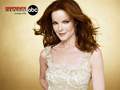 Bree =) - desperate-housewives photo