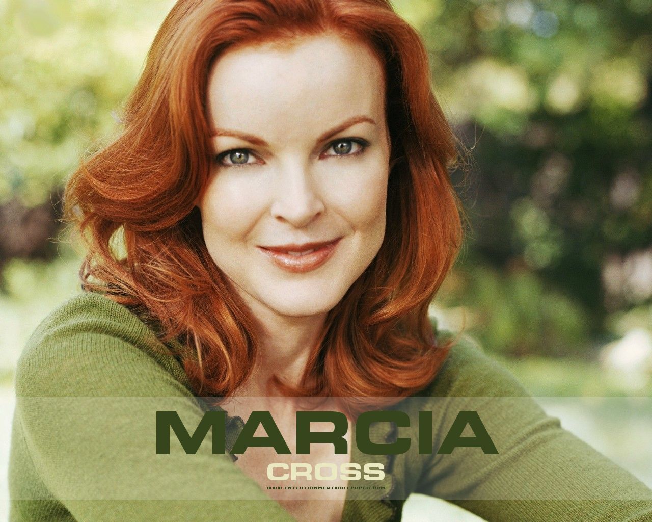Marcia Cross - Images Gallery