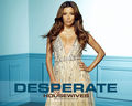 Gabby =) - desperate-housewives photo