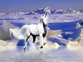 Lord Of The Ice - unicorns photo