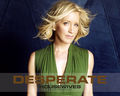 Lynette =) - desperate-housewives photo