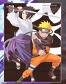 Naruto Shippuuden - naruto-shippuuden photo