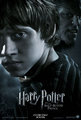RON AND GREYBACK IN HBP (NEW POSTER) - harry-potter photo