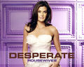 Susan =) - desperate-housewives photo