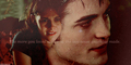 Twilight Banners - twilight-series fan art