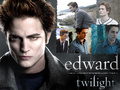 edward - twilight-series photo
