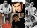 Anthony Perkins - classic-movies fan art