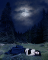 Bella Swan New Moon! - twilight-series fan art