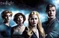 Cullen <3 - twilight-series fan art