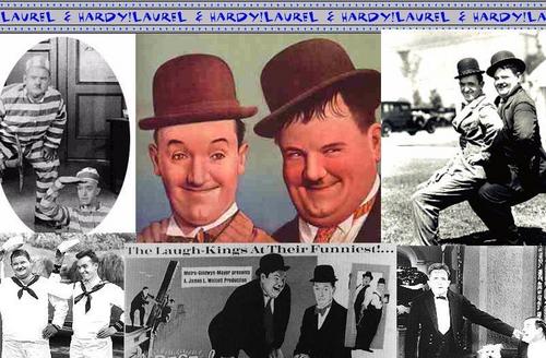  pohon salam, laurel and Hardy