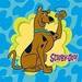 Scooby - scooby-doo icon