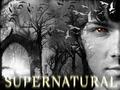 Supernatural - supernatural fan art