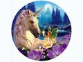 Unicorns and Fairies - unicorns photo