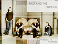 fast-and-furious - fast/furious wallpaper