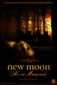 New  Moon♥ - twilight-series fan art