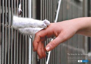 Animal Rights - Animal Rights Photo (6113690) - Fanpop
