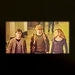 Harry, Ron, and Hermione  - harry-potter icon