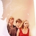 Harry, Ron, and Hermione  - harry-potter icon