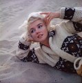 Marilyn Monroe - classic-movies photo