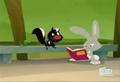 Skunk Is Intrested To Rabbit - skunk-fu photo