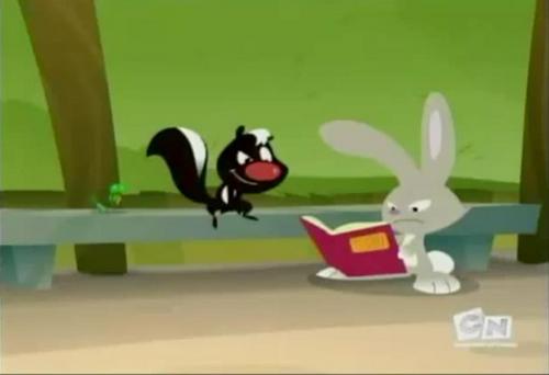 Skunk Is Intrested To Rabbit